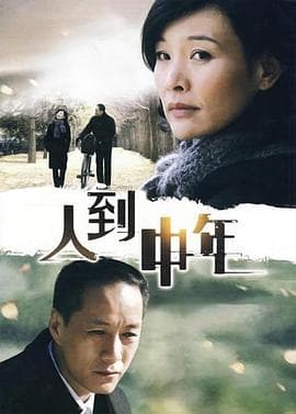 人到中年2009 - 国产剧 (2009) 海报