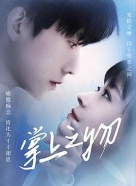 掌上之物 - 国产剧 (2022) 海报