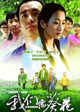 我们像葵花 - 国产剧 (2006) 海报