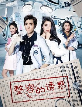 整容的诱惑 - 国产剧 (2018) 海报