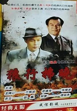 午夜谍影 - 国产剧 (1996) 海报