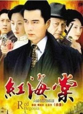 红海棠 - 国产剧 (2008) 海报