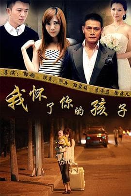 我怀了你的孩子 - 国产剧 (2013) 海报