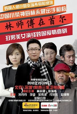 林师傅在首尔 - 国产剧 (2010) 海报