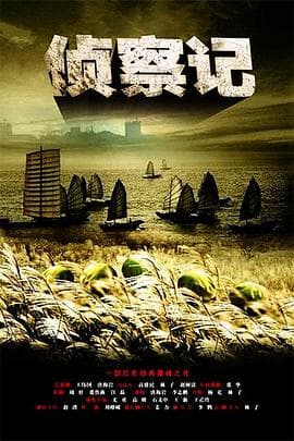 侦察记 - 国产剧 (2011) 海报