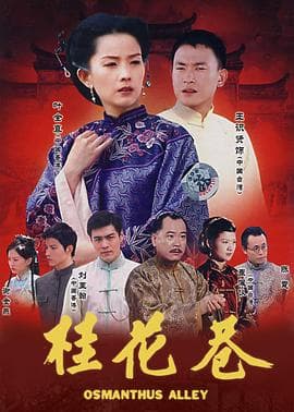 桂花巷2002 - 国产剧 (2002) 海报