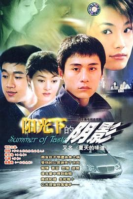 夏天的味道 - 国产剧 (2004) 海报