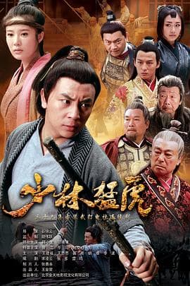 武林猛虎 - 国产剧 (2012) 海报