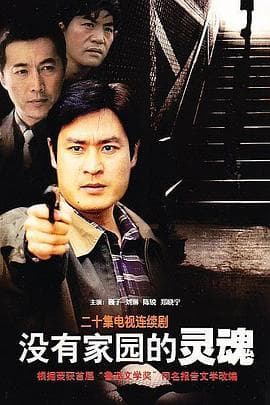 没有家园的灵魂 - 国产剧 (2004) 海报