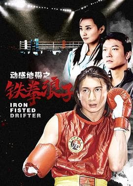 铁拳浪子 - 国产剧 (2004) 海报