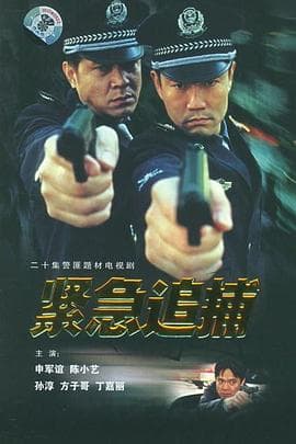紧急追捕 - 国产剧 (2001) 海报