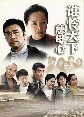 谁怜天下慈母心 - 国产剧 (2007) 海报