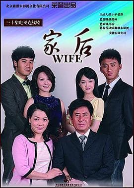 家后 - 国产剧 (2009) 海报