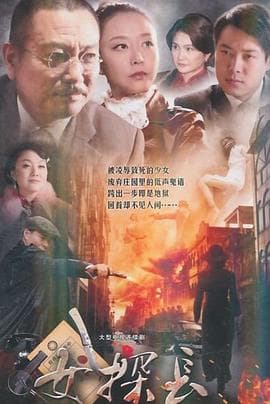 女探长 - 国产剧 (2014) 海报