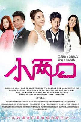 小两口 - 国产剧 (2013) 海报