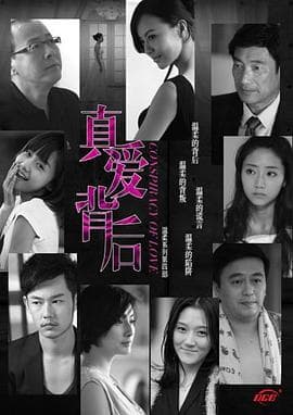 真爱背后 - 国产剧 (2011) 海报