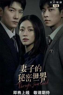 妻子的秘密世界 - 国产剧 (2022) 海报
