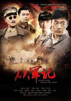 从军记 - 国产剧 (2011) 海报