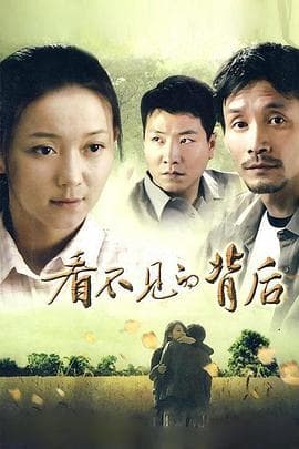 看不见的背后 - 国产剧 (2011) 海报