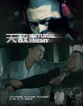 天敌 - 国产剧 (2010) 海报