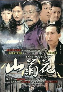 山菊花2007 - 国产剧 (2007) 海报