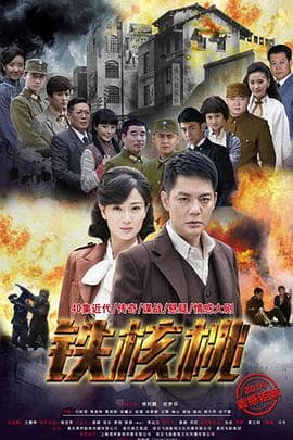 铁核桃 - 国产剧 (2015) 海报