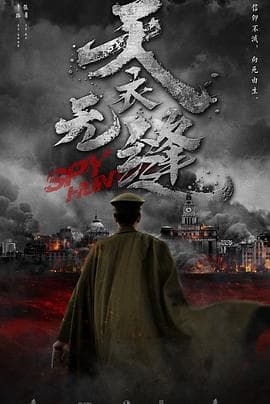 天衣无缝 - 国产剧 (2019) 海报