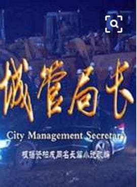 城管局长 - 国产剧 (2010) 海报