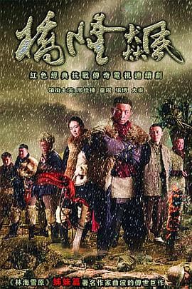 桥隆飙 - 国产剧 (2010) 海报