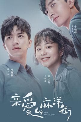 亲爱的麻洋街 - 国产剧 (2020) 海报