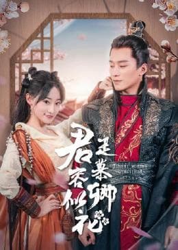 君是慕容卿似花 - 国产剧 (2023) 海报