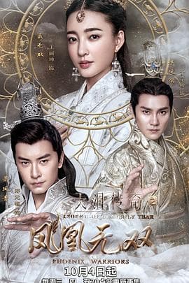 天泪传奇之凤凰无双 - 国产剧 (2017) 海报
