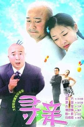 寻亲 - 国产剧 (2009) 海报