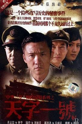 天字一号 - 国产剧 (2007) 海报