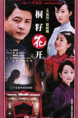 桐籽花开 - 国产剧 (2003) 海报