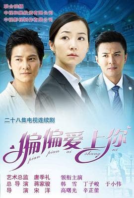 偏偏爱上你 - 国产剧 (2012) 海报