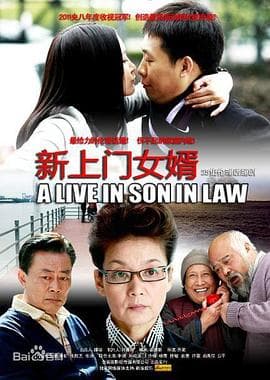 新上门女婿 - 国产剧 (2010) 海报