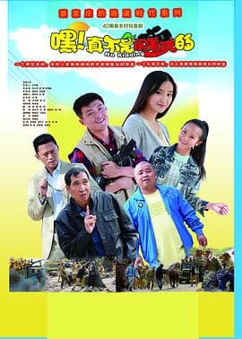 嘿！真不是闹着玩的 - 国产剧 (2015) 海报