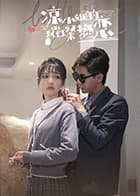 凉小姐的璀璨热恋 - 国产剧 (2023) 海报