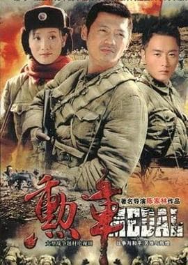 勋章 - 国产剧 (2009) 海报