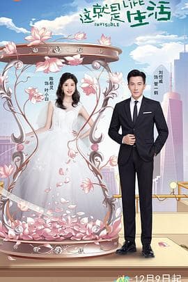 这就是生活2020 - 国产剧 (2020) 海报