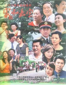 家和是宝 - 国产剧 (2008) 海报