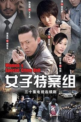 女子特案组 - 国产剧 (2011) 海报
