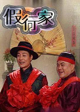 假行家 - 国产剧 (2003) 海报