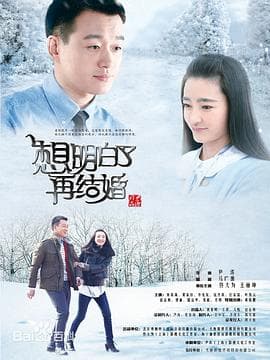 想明白了再结婚 - 国产剧 (2015) 海报
