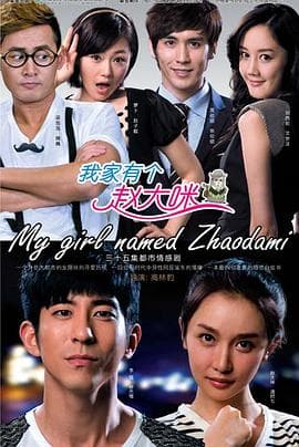 我家有个赵大咪 - 国产剧 (2013) 海报