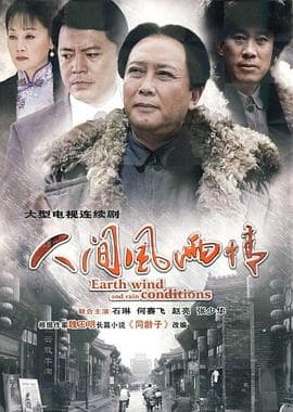 人间风雨情 - 国产剧 (2010) 海报