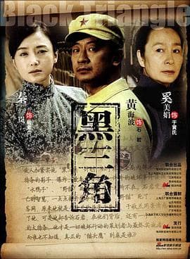 黑三角2008 - 国产剧 (2008) 海报