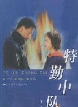 特勤中队 - 国产剧 (2002) 海报