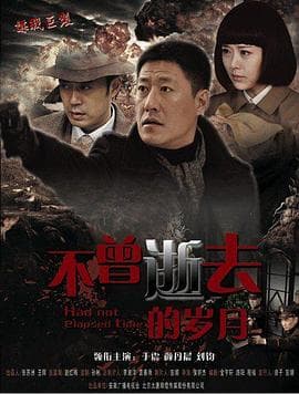 密使2之江都谍影 - 国产剧 (2013) 海报